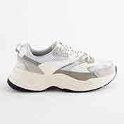 Trainers